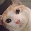 maggie0219gd