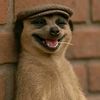 jsgumza