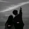 aseel_h_2009