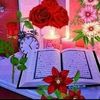 user9529262161275