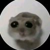_ladesoov_