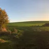rmichwxungl