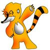 coatiwebwerx