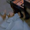 zainail634
