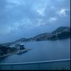 kiki_123346