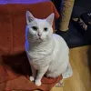 mathiaskaiser51