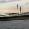 you.812002