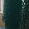 jairbolsonaroeusoquero