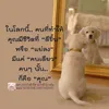 user2813266688111