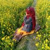 shemaparvien383