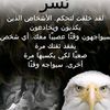 user40113473785760
