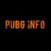 PUBG INFO