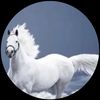 user52207780h