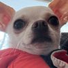 miamorpanchito