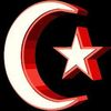 alishirin0799
