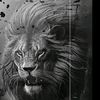 www.tiktok.leo.com.mx