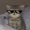 itzz.ur_phil05