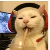 itsnotjoen