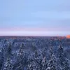 mishkalox_1