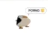 muamore_4