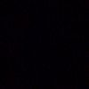wongsepele_440