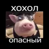 i_invicible