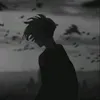 zvoe6