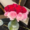 shevin_tahir