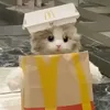 lewis_7411