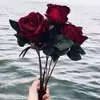 rakibgorapi8