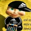 souvascainomesmo