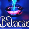 belacao38