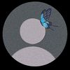 ions_80