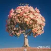 noor.mokhles5