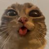 luner_clop