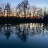 mallory_mcclanahan