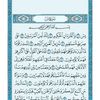 sayed12365486hchhc