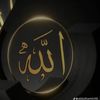 user787491268144