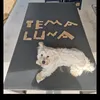 teamluna2018