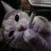 rawr_gamer