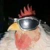 gabrielmazini79