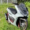 wang_m15