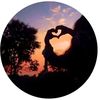 aliee___012