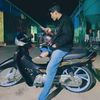 brovit9041