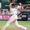 yanagita1111