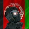 amir.z199