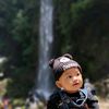 zea._254