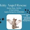 kitty_angel_rescue_