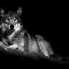 emrah.abusov6