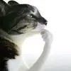 kersrekt